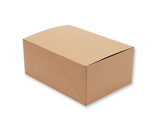 食品容器　ネオクラフトボックス　ケーキボックス　L　ケーキ6個用　20枚