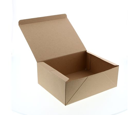 食品容器 ネオクラフトボックス ケーキボックス LL ケーキ8個用 20枚 004248018
