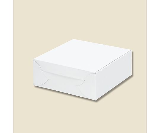 箱　白地カートン　4　10枚