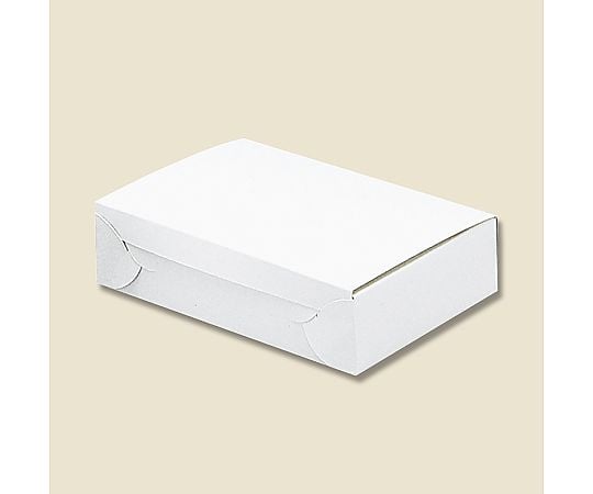 箱　白地カートン　6　10枚