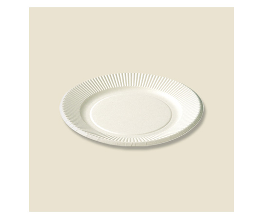 63 1351 24 取扱停止 紙皿 スタンダードプレート 100枚入 ペーパーウェア 高級感 63 1351 24 取扱停止 紙皿 スタンダードプレート 100枚入 ペーパーウェア 高級感