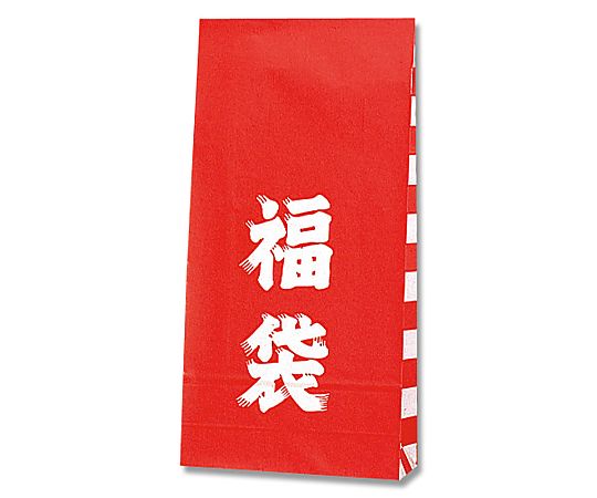 ファンシーバッグ　福袋　100枚