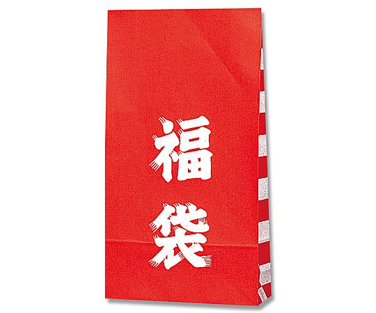 ファンシーバッグ　福袋　100枚