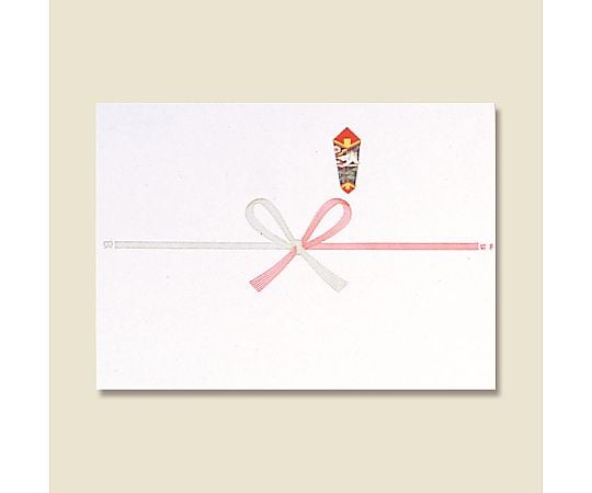 のし紙　B5　祝　100枚