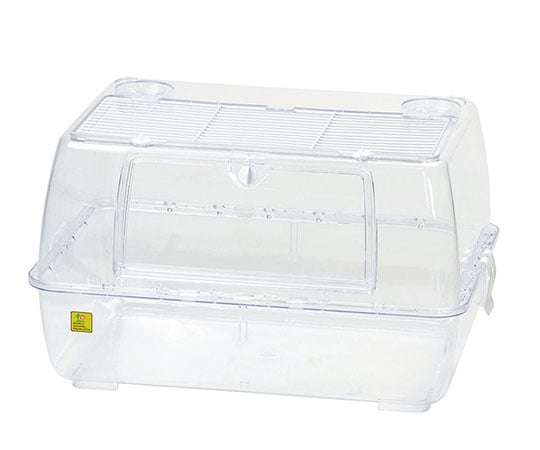 ルーミィ　ベーシック