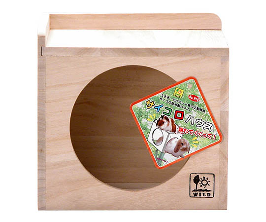 サイコロハウス