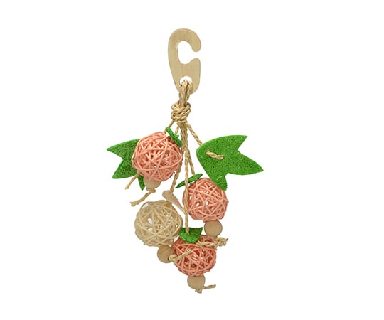 ナチュラルハンガー（フルーツ）