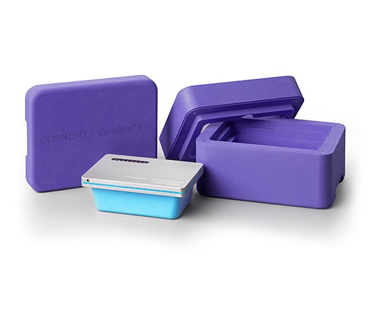 CoolBox　XT　パープル