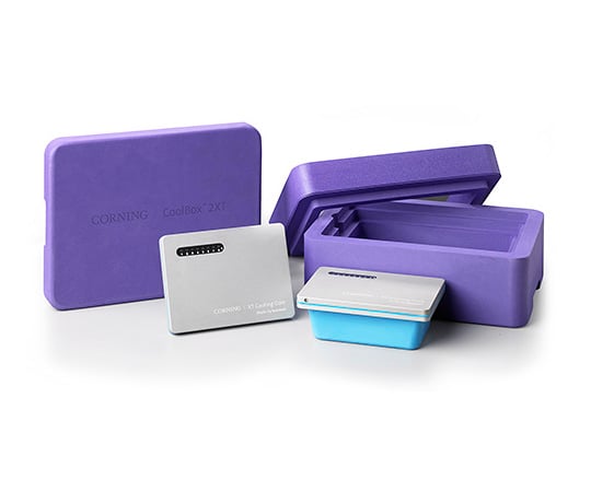CoolBox　2XT　パープル
