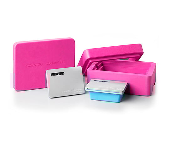 CoolBox　2XT　ピンク