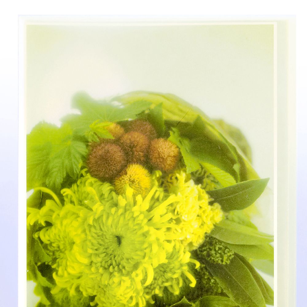 63-1612-23-30 シンプルクリアーファイル 40P クリア FC-240SC CL