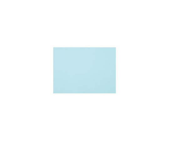 再生色画用紙　8ツ切　10枚　ぞう