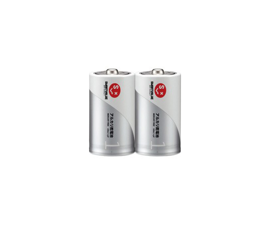 アルカリ乾電池　単1　100本