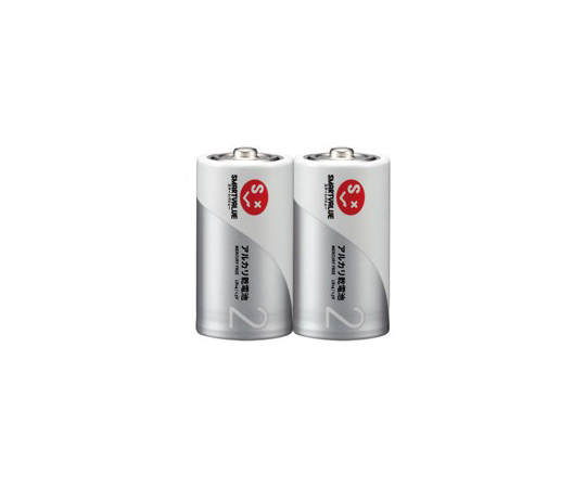 アルカリ乾電池　単2　100本