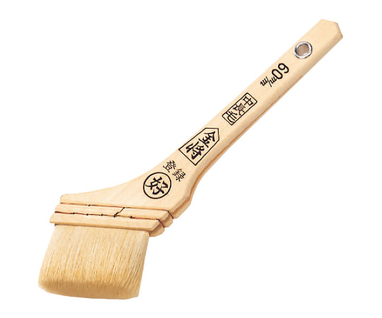 白中長毛　金将　60mm