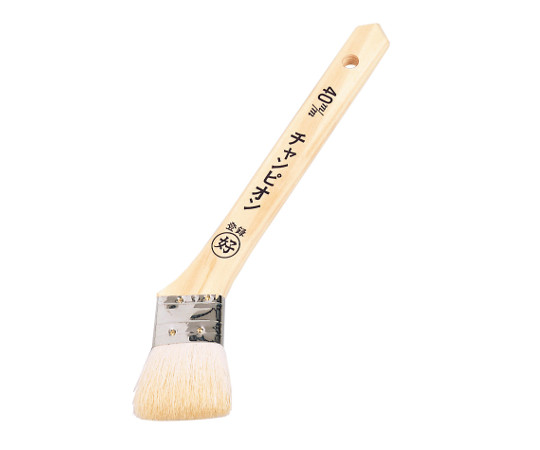 白毛　金巻　チャンピオン　40mm