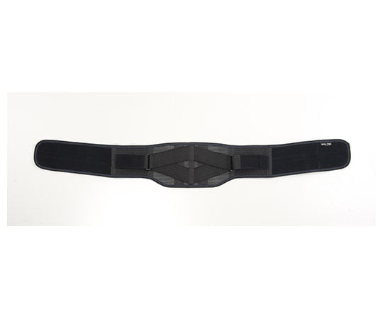 63-1939-63 ボディフレーム 腰用 ハード LL