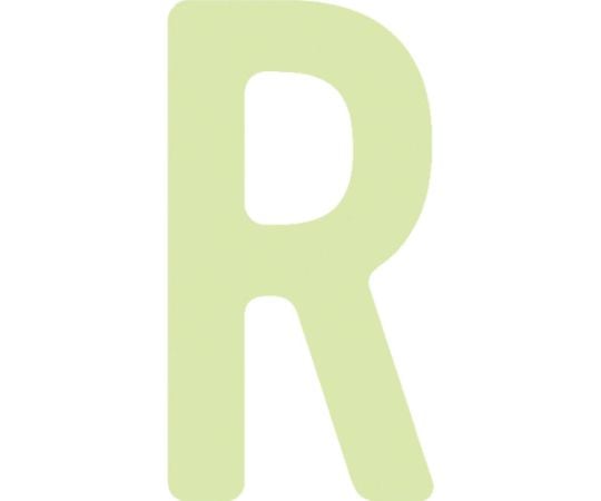 非常用標識 中輝度蓄光カッテイング文字 英字 R 粘着シール 50×26mm