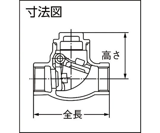 63-1962-33 SVC2型（スイングチャッキバルブ） Rc1 1/2 SVC2-40 【AXEL