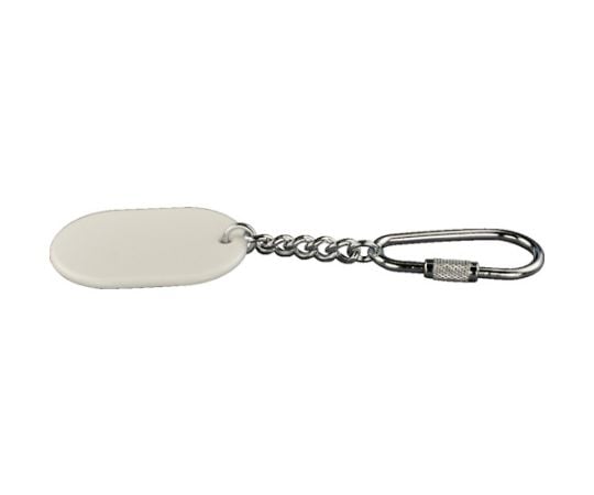 カラーキーホルダー