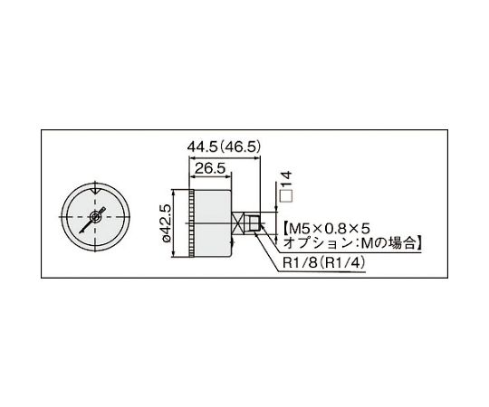 圧力計　G46-10-02-SRB