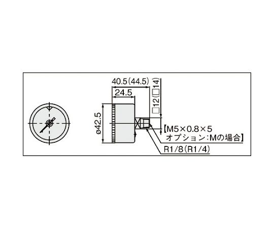 63-2191-36 圧力計 G46E-10-01-C2