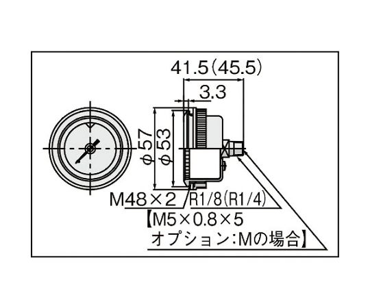 63-2191-38 圧力計 G46E-10-01M-C