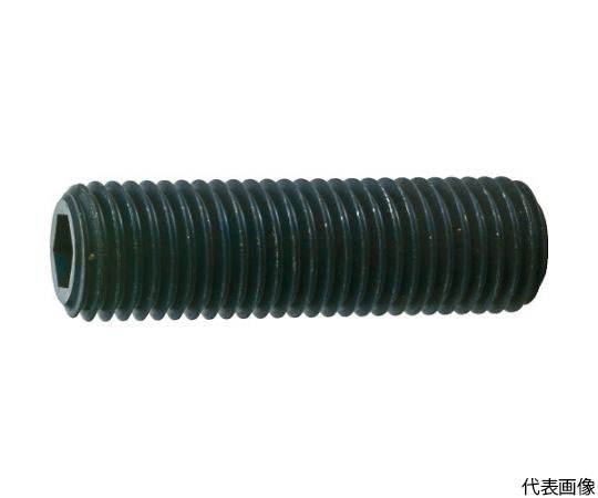 六角穴付止めねじ 平先 黒染め M16×75 2本入