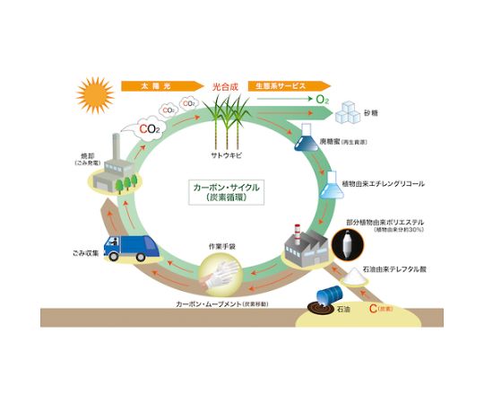 取扱を終了した商品です］プランテックスグローブ 天然ゴム背抜き S