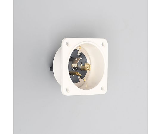 引掛形　フランジインレット