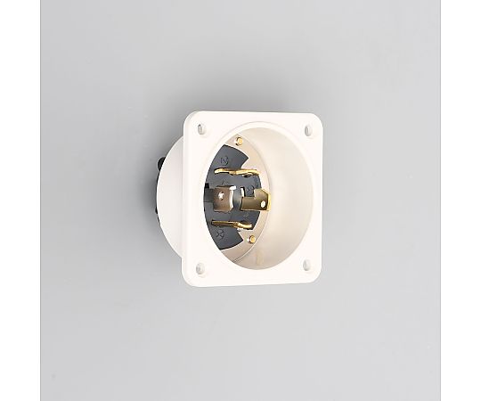 引掛形　フランジインレット