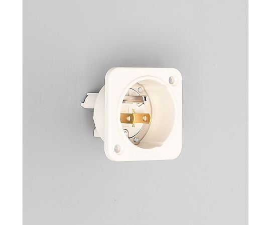 フランジインレット