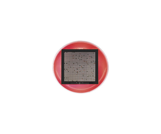 取扱を終了した商品です アイソグリッドメンブランフィルター Qa0100 63 2577 31 Axel アズワン