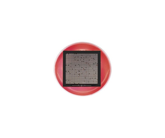 取扱を終了した商品です アイソグリッドメンブランフィルター Qa0100 63 2577 31 Axel アズワン 取扱を終了した商品です アイソグリッドメンブランフィルター Qa0100 63 2577 31 Axel アズワン