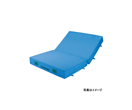 屋内カラーエバーマット　二つ折　すべり止付　200×300×20cm