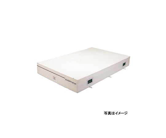抗菌屋内エバーマット エバニュー Axel アズワン 抗菌屋内エバーマット エバニュー Axel アズワン