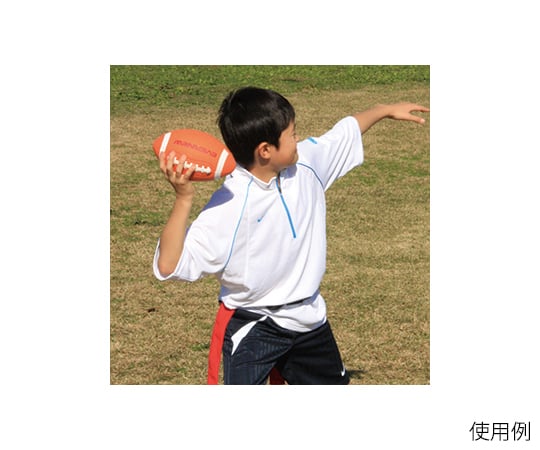 63 2975 92 フラッグフットボール 小学生用 Ete196 Axel アズワン 63 2975 92 フラッグフットボール 小学生用 Ete196 Axel アズワン