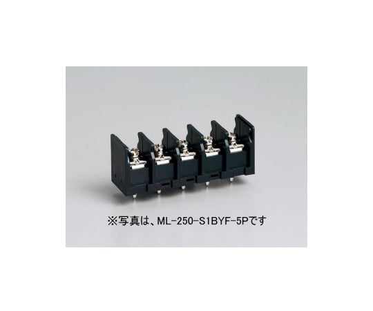 貫通型端子台　プリント基板用　250V-10A　角座金付ネジ　2極