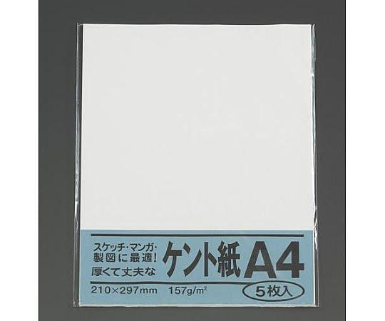 Ａ４判 ケント紙(5枚)