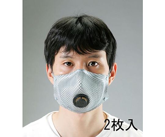 [N 95] マスク(2枚)
