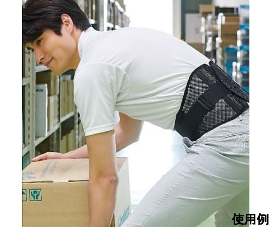 [LL] サポーター(腰用)