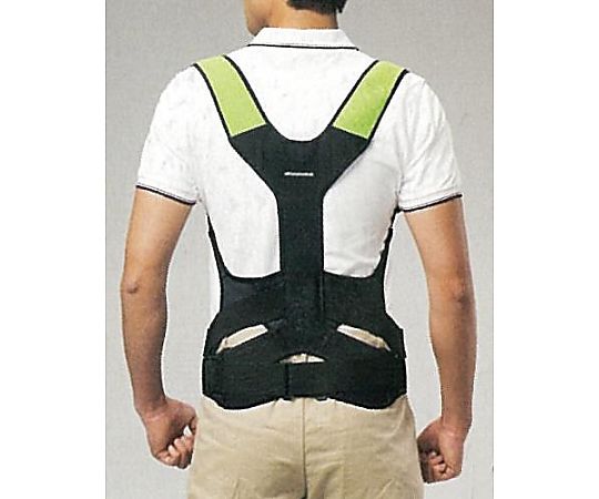 [LL] サポートウェア(腰用)