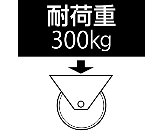 63-3298-67 160mm キャスター(固定金具・ｽﾃﾝﾚｽ製) EA986KA-53 【AXEL