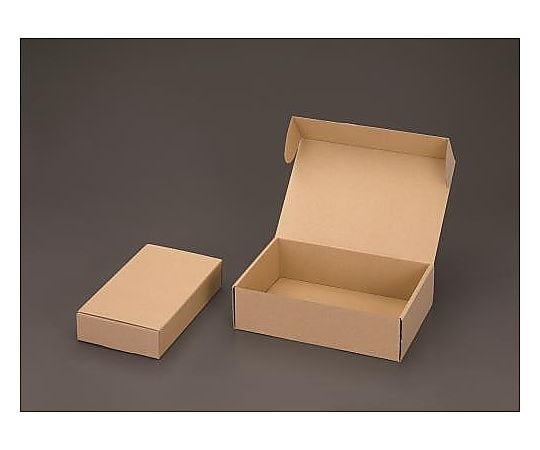 200x200x 80mm 収納ボックス(無地/10枚) EA995BS-5