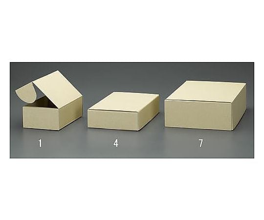 220x320x 90mm 収納ボックス(無地/10枚) EA995BS-7