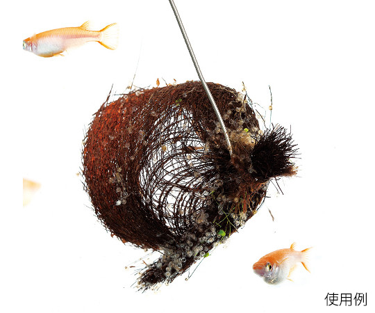 63 3329 55 メダカの棕櫚産卵床 特小 S 57 Axel アズワン 63 3329 55 メダカの棕櫚産卵床 特小 S 57 Axel アズワン