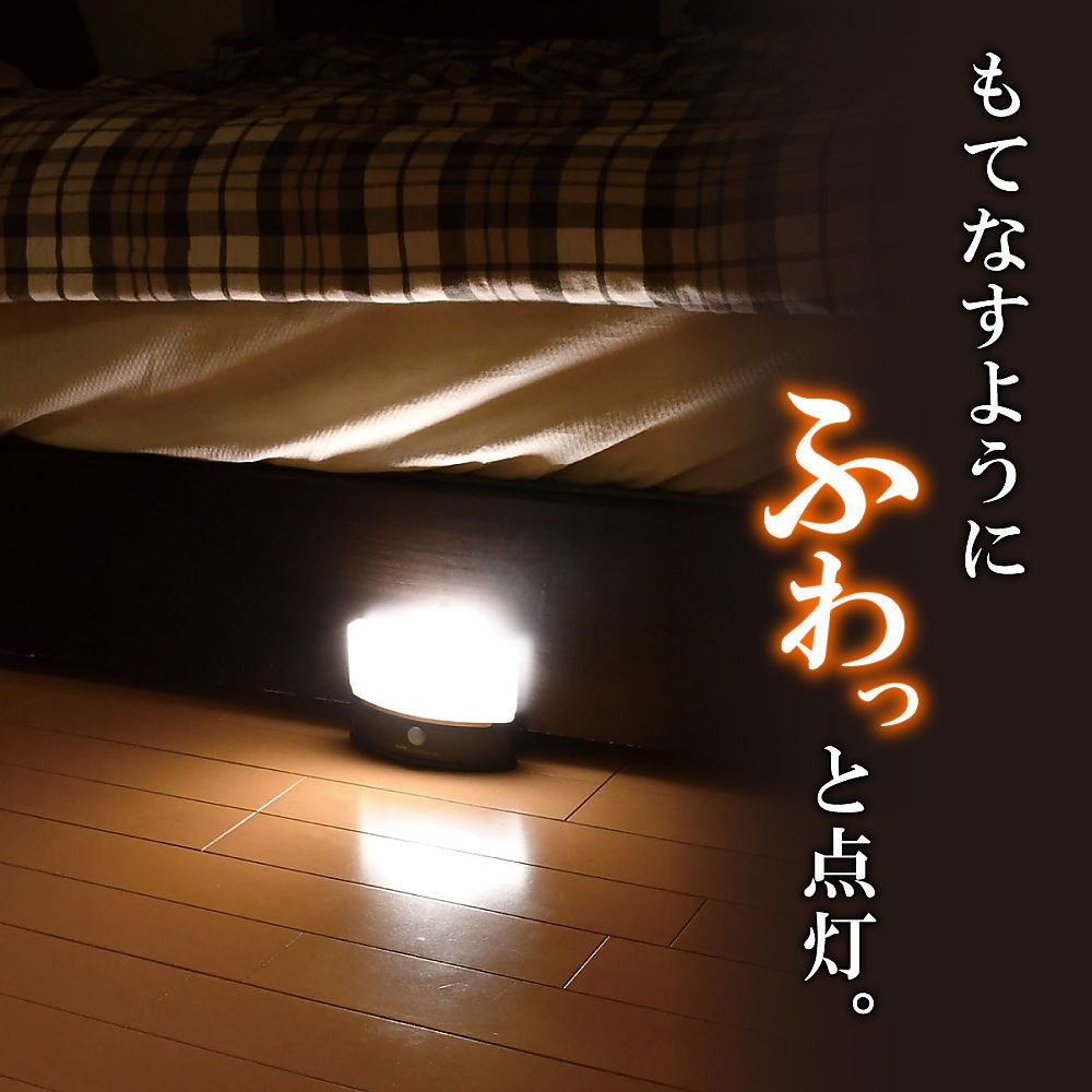 もてなしライト　HLH-2201