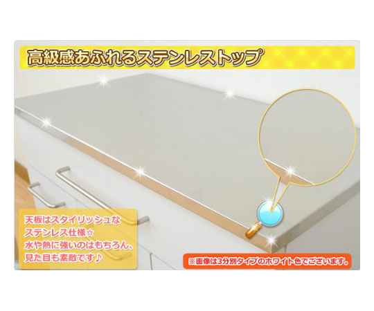 取扱を終了した商品です］ステンレス天板 ダストボックス（キャスター