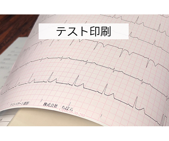 心電図記録紙　幅210mm×長300m/折295mm（折り畳み型・裏面カルテ・方眼線有）　2冊入　CQB210-30-295