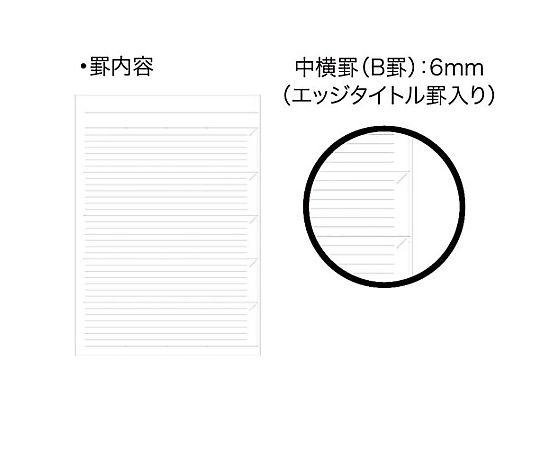 ソフトリングノートBiz B罫 40枚 B5 緑　ｽ-SJ201B-G